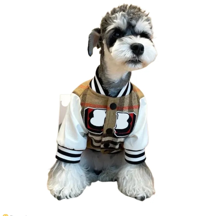 Designer Dog Accessories Outerwears Autumn Spring Baseball Jacket Cat Plush Thickened Warm Coat Teddy Clothing Knitwear