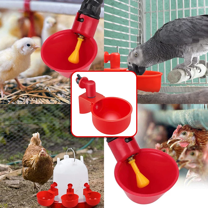 10pcs Quail Automatic Chicken Water Cup Chicken Water Dispenser Duck Goose Turkey Bowl Set Chicken Coop Poultry Water Dispenser