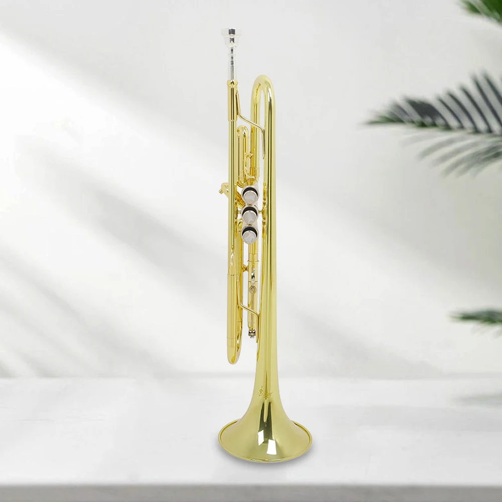 Bb B Flat Trumpet Instrument with Gloves & Cleaning Cloth for Student Beginners
