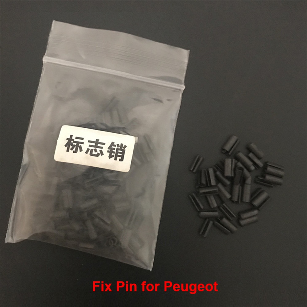 CHKJ 200PCS/LOT Car Flip Remote Key Fixed Pins Screws Set Auto Locksmith Tools Part Repair Accessories Remote Control Fixing Pin
