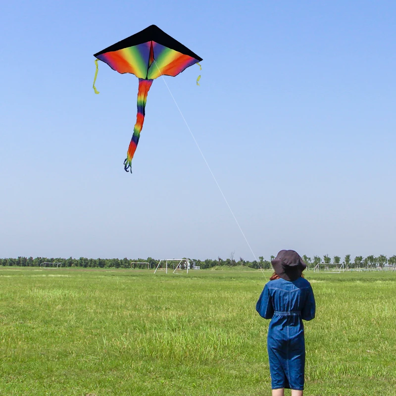 YongJian kite coloring Kite for Kids & Adults with 100m Kite String Large Delta Beach Kite for Outdoor Games and Activities