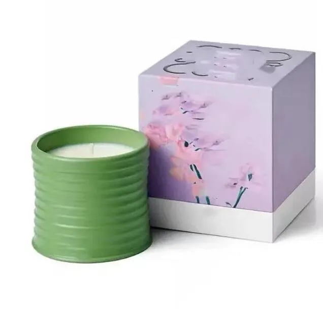 Spain Scented Candles Pottery Jar Top Quality Fragrance Candle ivy Aromatherapy Box Home Decoration Christmas Gift