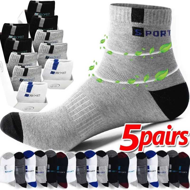 Cotton Sock for Men Sport Breathable Soft Letter Fashion Sneakers High Elastic Middle Tube Stocking Towel Sox Summer Running X250319