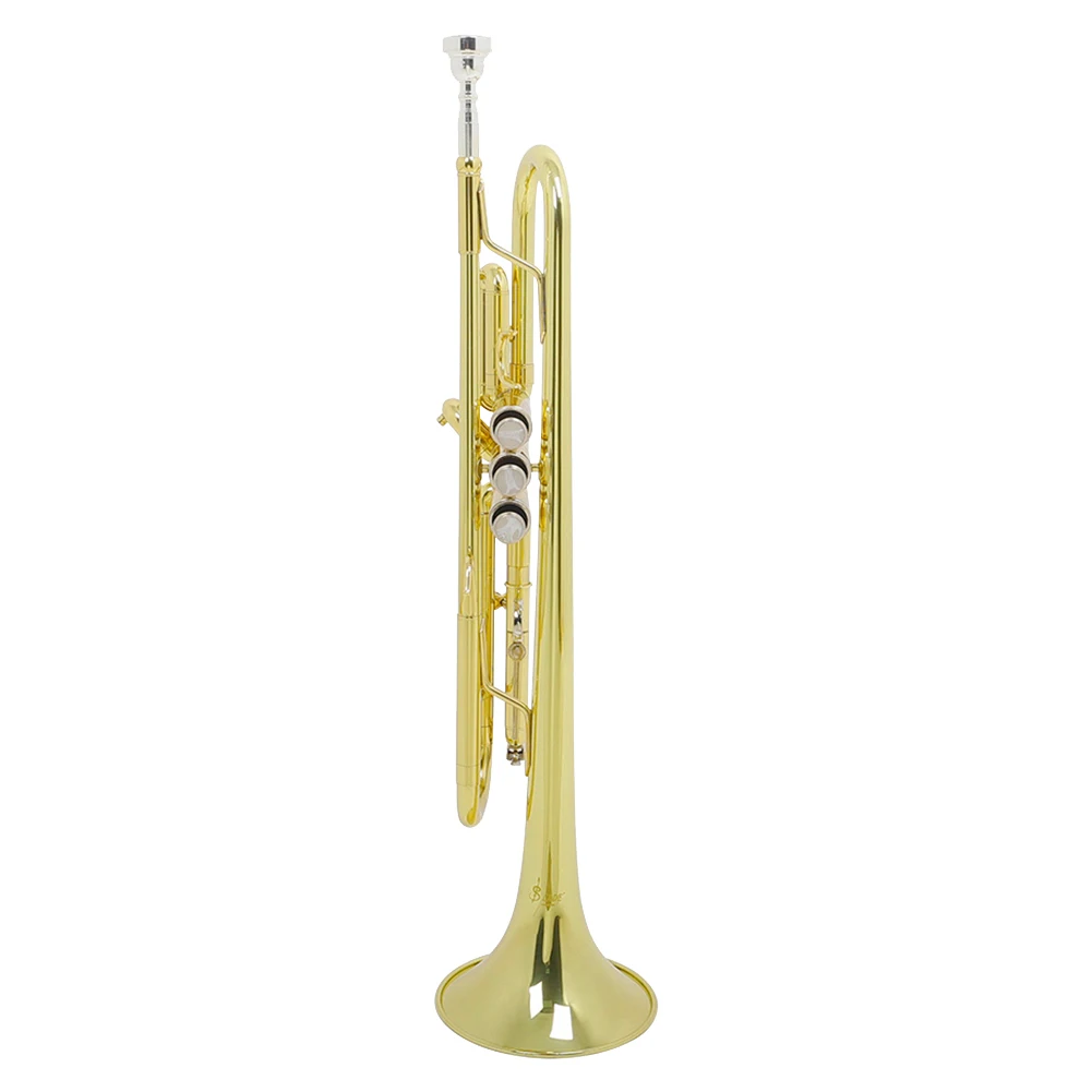 Bb B Flat Trumpet Instrument with Gloves & Cleaning Cloth for Student Beginners