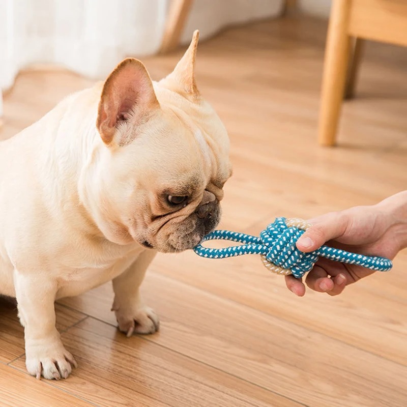 Interactive Cotton Rope Mini Dog Toys Ball Accessories Toothbrush Chew Puppy Toy for Large Small Dogs