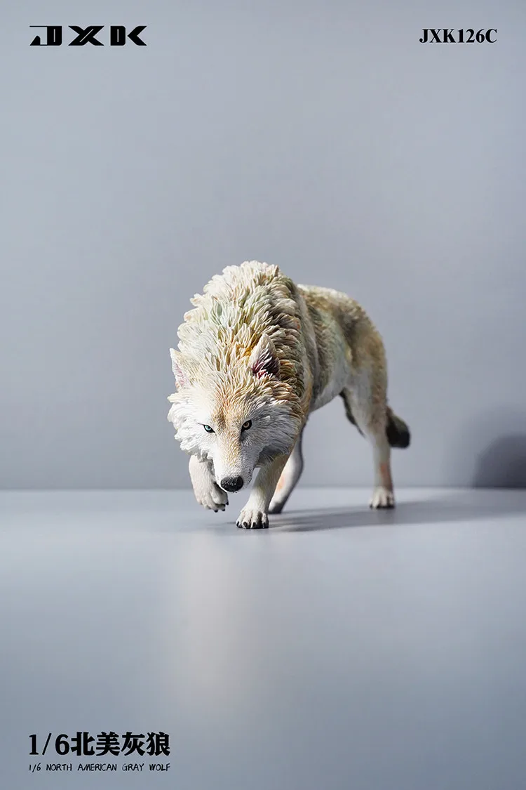 1/6 JXK Toys JXK126 2025 North American Gray Wolf Static Animal Model new Resine Material Model Gift For Child Bady Kids