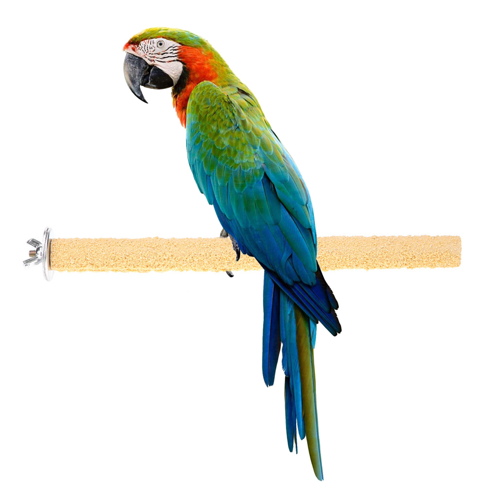 Colorful Beak Grinding Stick Non-toxic Parrot Paw Stick Eco-friendly Creative Reusable Durable Funny Portable Cage Decoration