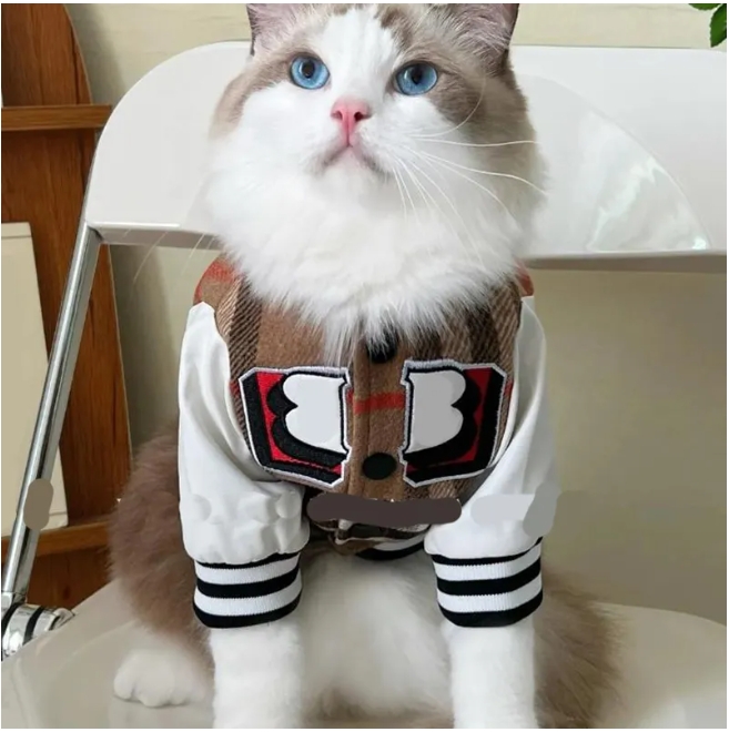 Designer Dog Accessories Outerwears Autumn Spring Baseball Jacket Cat Plush Thickened Warm Coat Teddy Clothing Knitwear