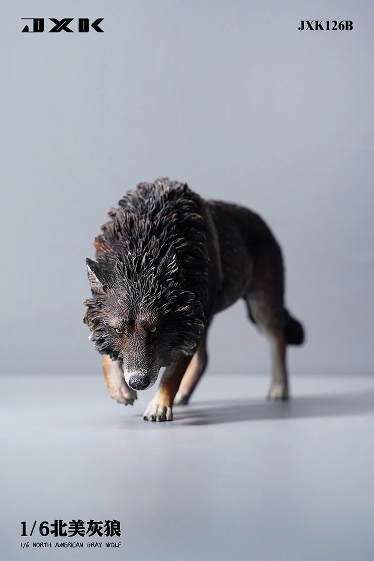 1/6 JXK Toys JXK126 2025 North American Gray Wolf Static Animal Model new Resine Material Model Gift For Child Bady Kids