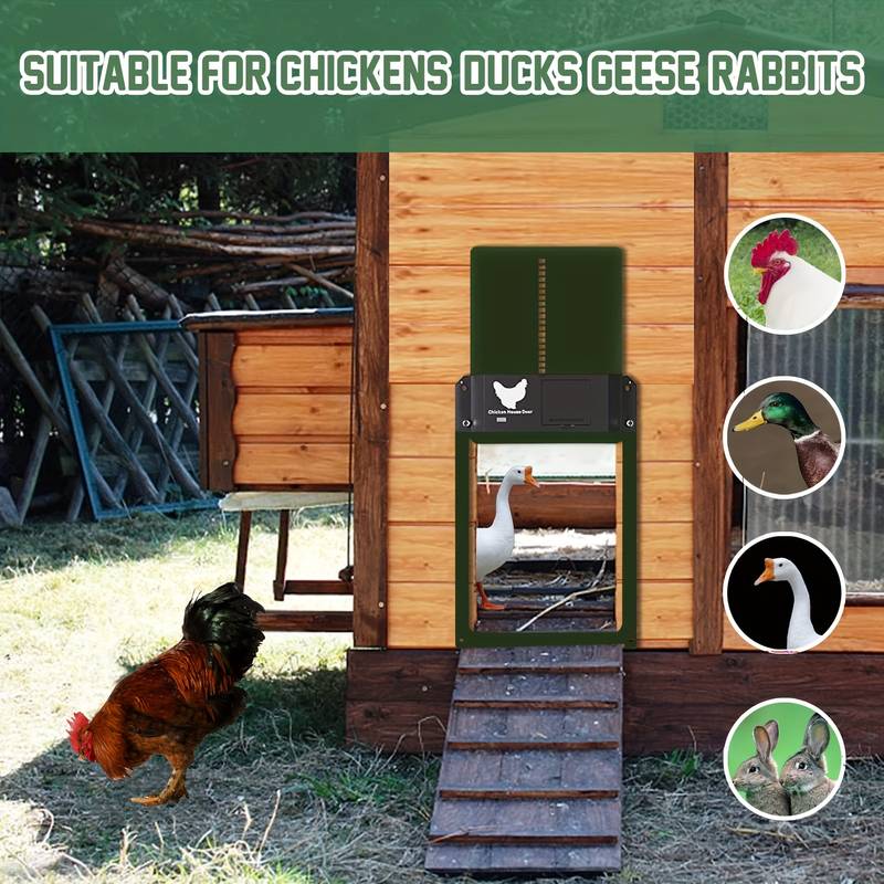 Upgrade ABS Automatic Chicken Coop Door Opener Battery Powered Light Sense Control IP44 Waterproof Pet Accessories House Door