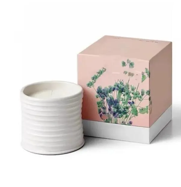 Spain Scented Candles Pottery Jar Top Quality Fragrance Candle ivy Aromatherapy Box Home Decoration Christmas Gift X2412195