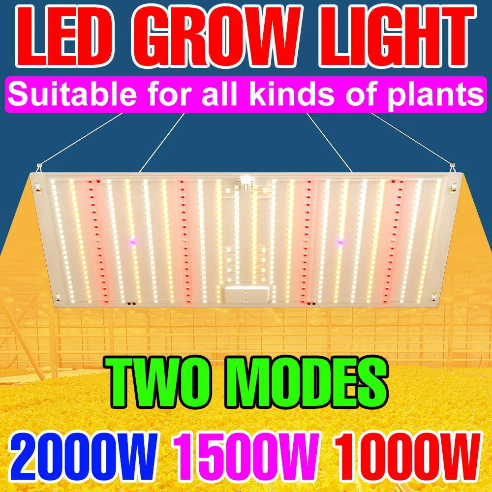 1000W Led Grow Light Full Spectrum Phyto Lamp 2000W Hydroponics Growing System Plant Lights Quantum Board Greenhouse Tent Box