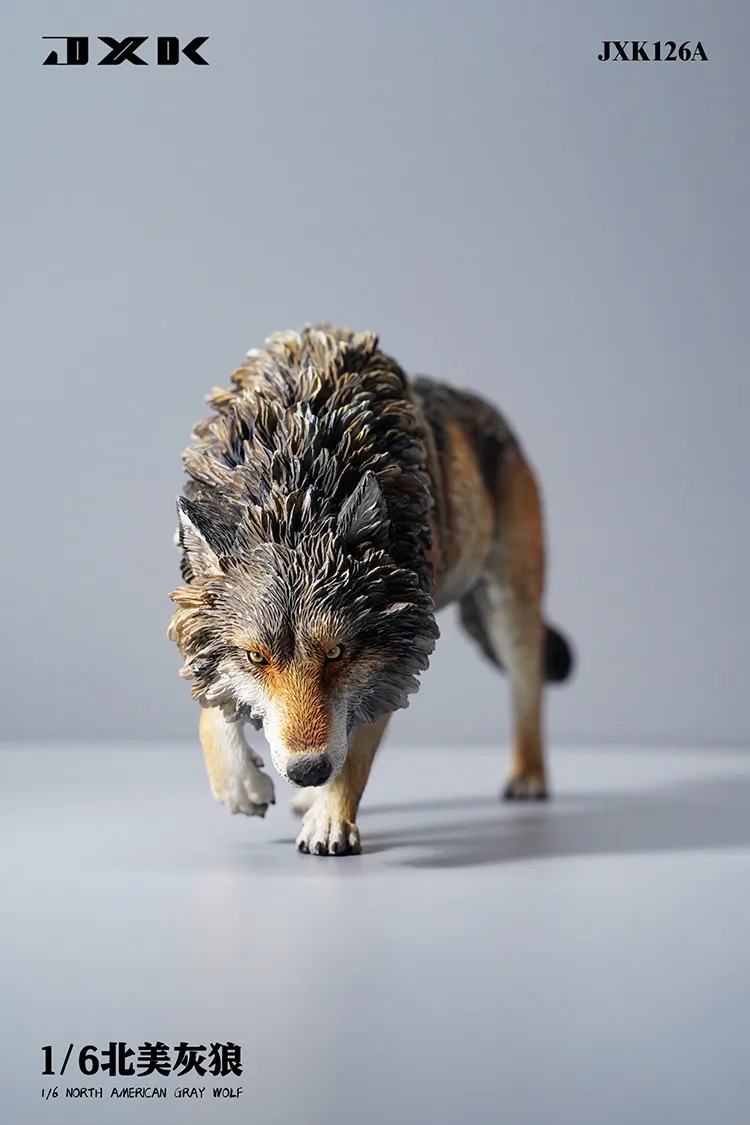 1/6 JXK Toys JXK126 2025 North American Gray Wolf Static Animal Model new Resine Material Model Gift For Child Bady Kids