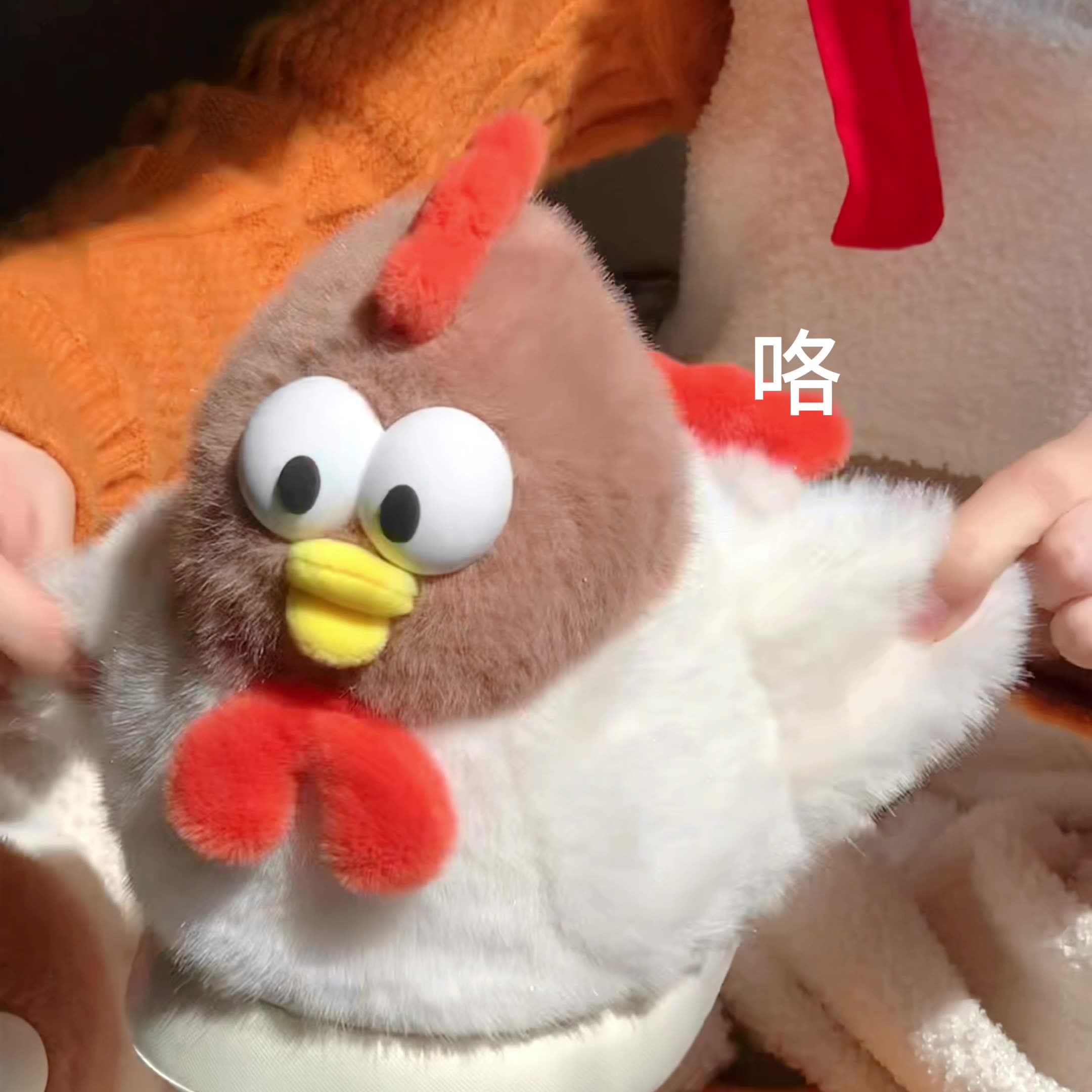 Winter toe-wrap warm cotton slippers Fun fun cartoon chicken soft sole Slipper women indoor floor flat house non-slip shoes