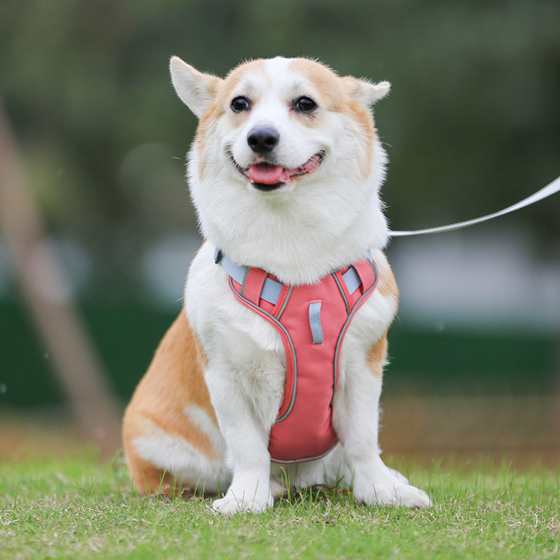 Reflective Waterproof Dog Protect Harness Adjustable Durable Quality Pet Dog Harness Supplies for Pet Products Small Medium Large Sizes Dogs