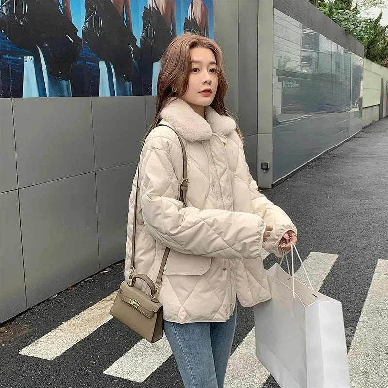 2022 Winter New Women's Korean Casual Cotton Padded Clothes Thickened Warm Short Loose Small Coat