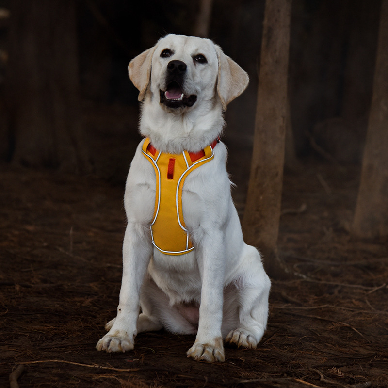 Reflective Waterproof Dog Protect Harness Adjustable Durable Quality Pet Dog Harness Supplies for Pet Products Small Medium Large Sizes Dogs