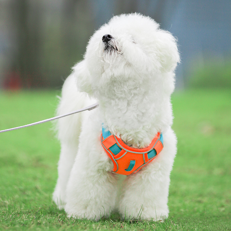 Reflective Waterproof Dog Protect Harness Adjustable Durable Quality Pet Dog Harness Supplies for Pet Products Small Medium Large Sizes Dogs