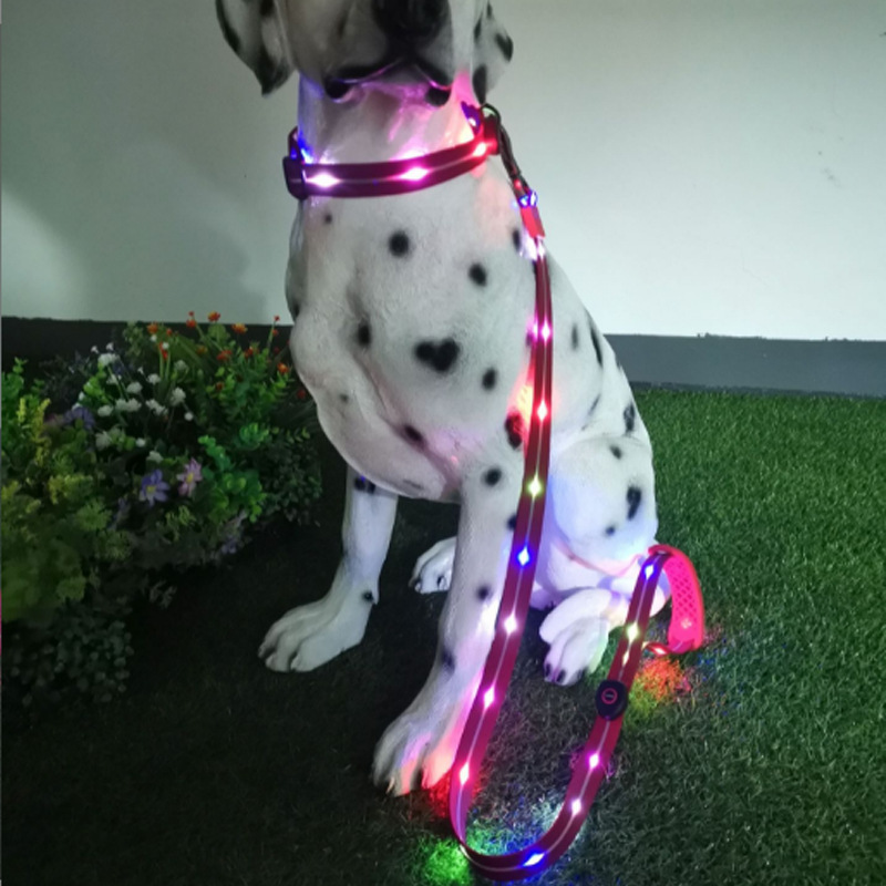 Pet traction rope led lights up dog collar walking free hands rope warning cats and dogs supplies at night outdoor black red green wear resistant 37 0