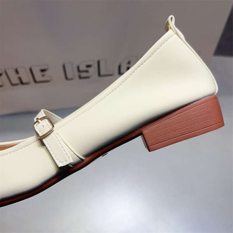 Xiaoxiang Coarse Single Order For Women With A Low Heel Mary Jane Shoes, Color Blocked Square Toe French Gentle Style Evening Shoes