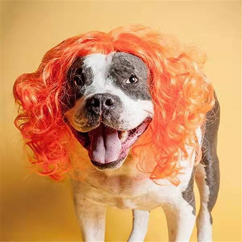 Funny pet wig headwear cross dressing dog curly hair cospla props supplies christmas orange gold head accessories Festival dress up cute 11 4lt