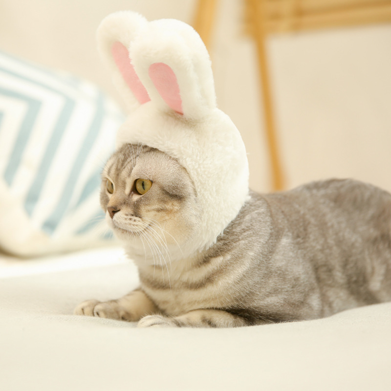 White rabbit ears hat dog cat pet headgear cute bunny headwear costume performance photoprops pink warm hood festival cosplay popular simple 5 23hy