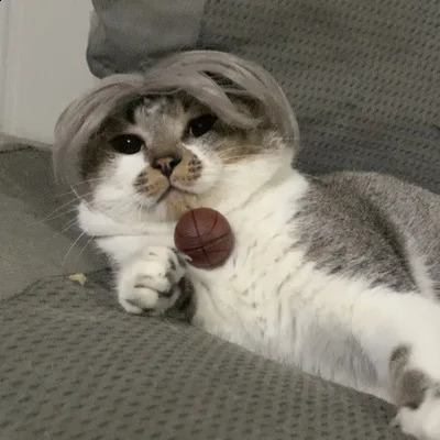 Pet Wigs Cosplay Props Funny Dogs Cats Cross-Dressing Hair Hat Costumes Head Accessories For Halloowen Christmas Pets Supplies 241212
