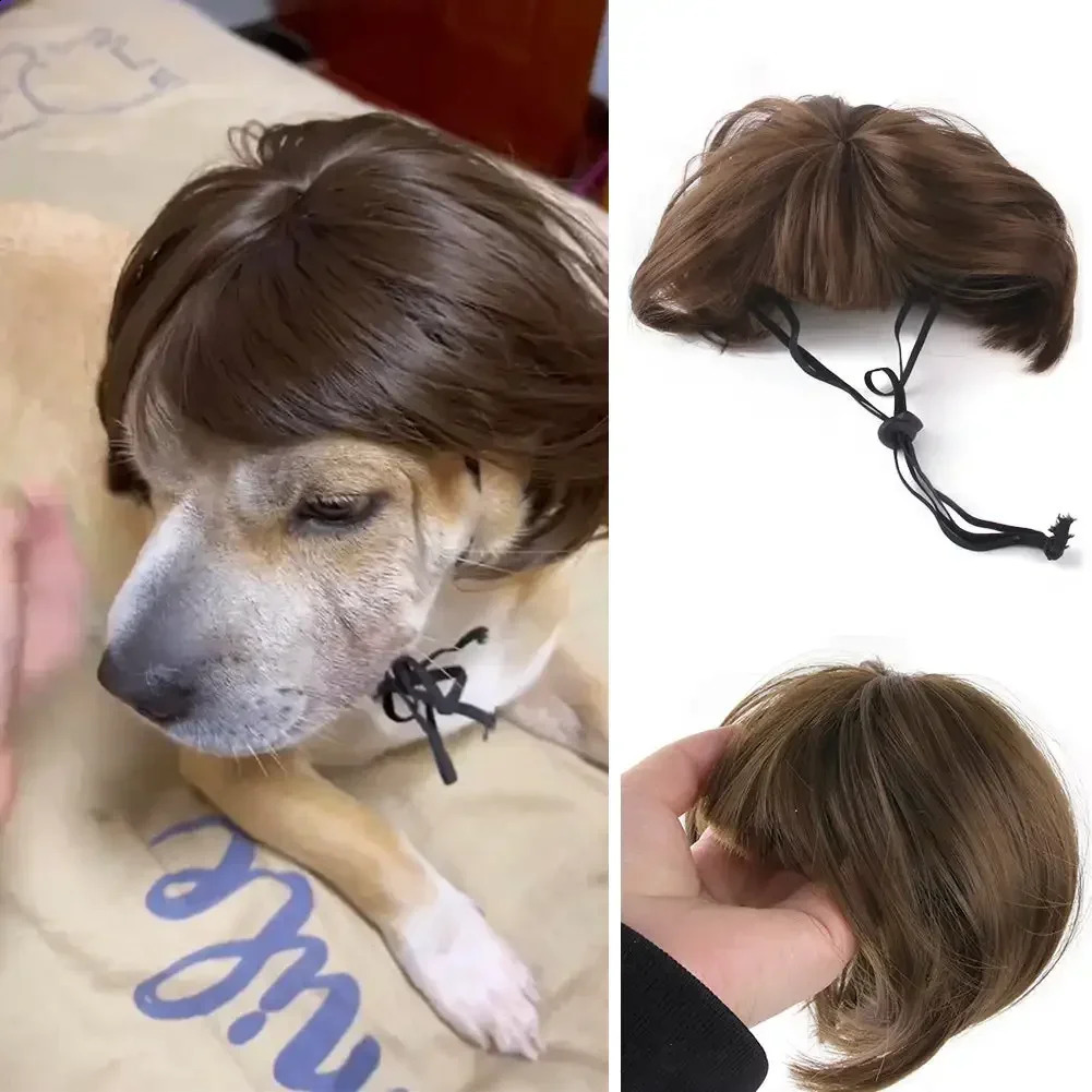 Pet Wigs Cosplay Props Funny Dogs Cats Cross-Dressing Hair Hat Costumes Head Accessories For Halloowen Christmas Pet Supplies 241212
