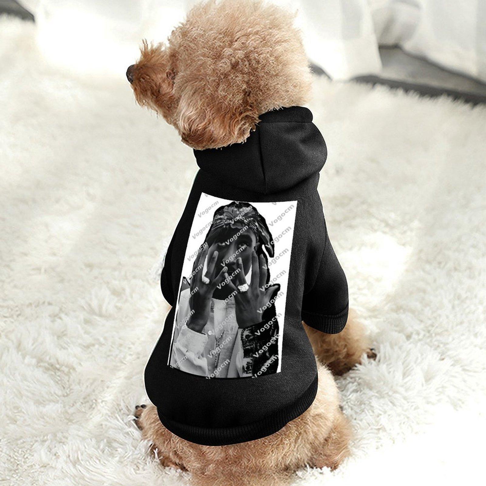 Fashion Design Dog's Hooded Sweatshirt Hooded Breathable Fall/Winter Walking Pet Hoodie Customized large size Anti-linting Designer Top Hoody