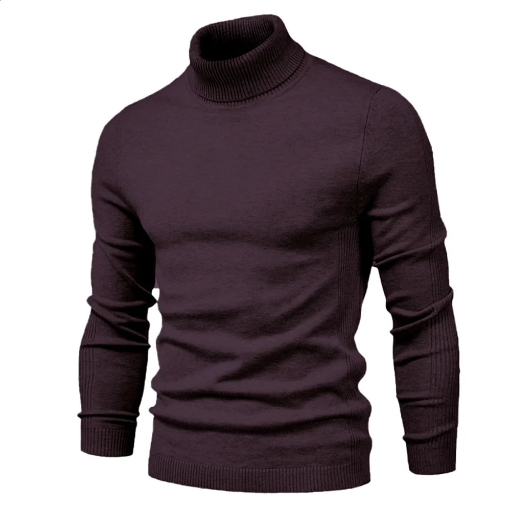 Winter Men Turtleneck Sweater Casual Solid Color Warm Pullover High Quality Slim High Neck Long Sleeve Sweater Men 241105