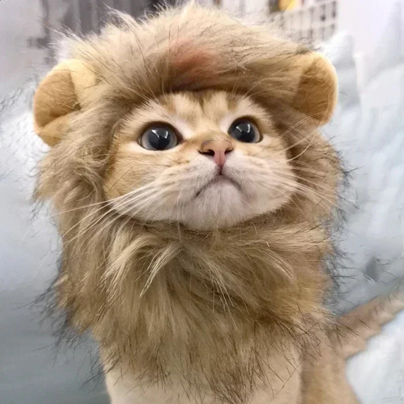Cat Cosplay Dress Up Pet Hat Lion Mane for Cat Puppy Lion Wig Costume Party Decoration Halloween Christmas GatosPet Supplies 241212