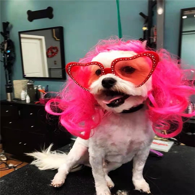 Funny pet wig headwear cross dressing dog curly hair cospla props supplies christmas orange gold head accessories Festival dress up cute 11 4lt