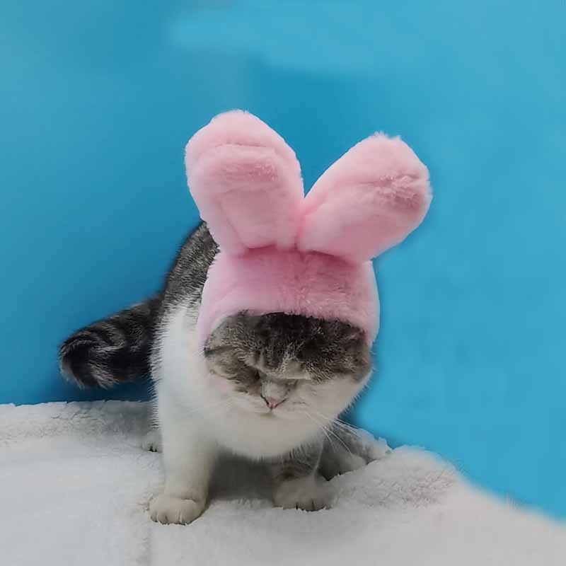 White rabbit ears hat dog cat pet headgear cute bunny headwear costume performance photoprops pink warm hood festival cosplay popular simple 5 23hy