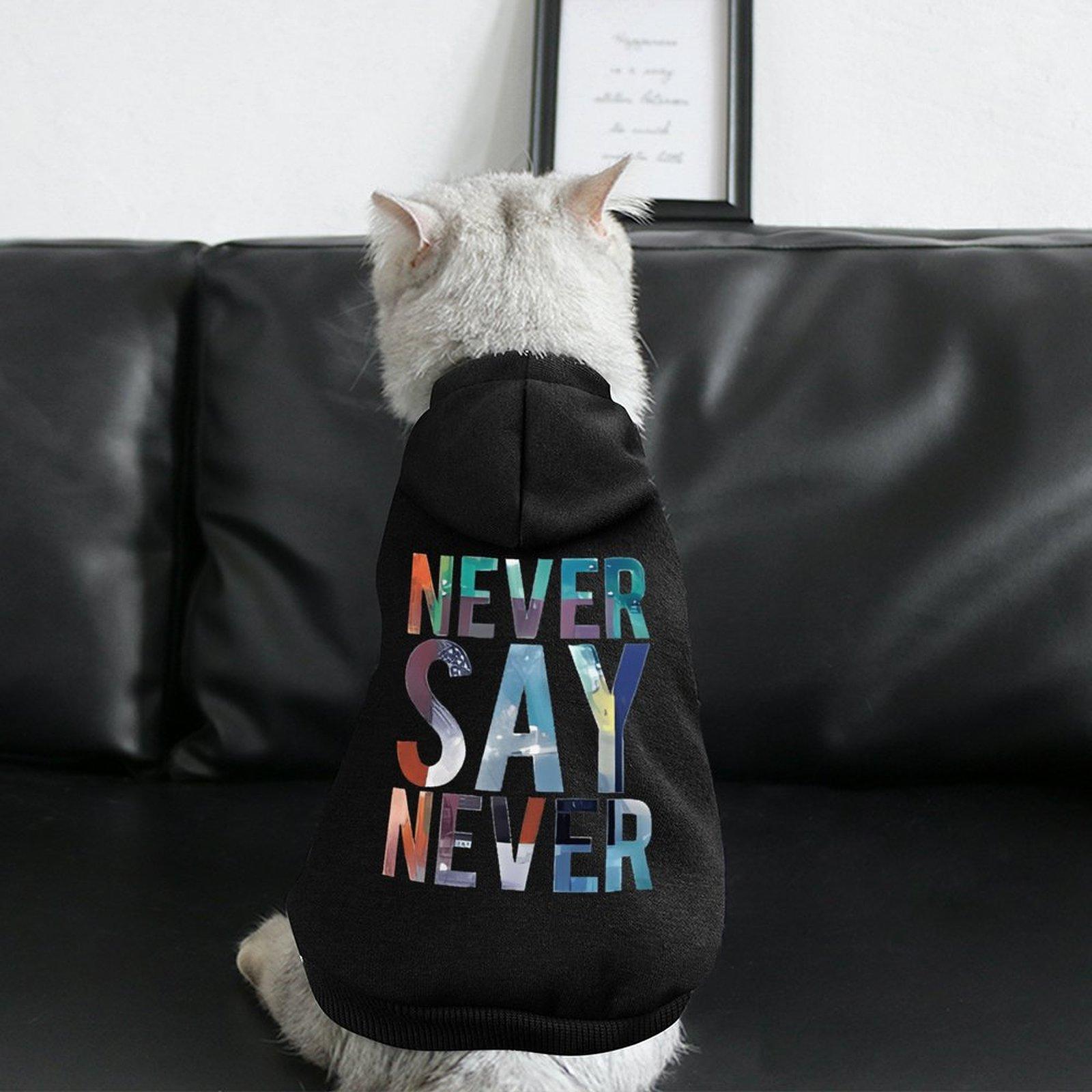 2024 Designer Dog Hoodie Breathable Hooded Neck Athletics Hoodie for Pet Patterns Warm Wholesale Top Pullover Hoodie