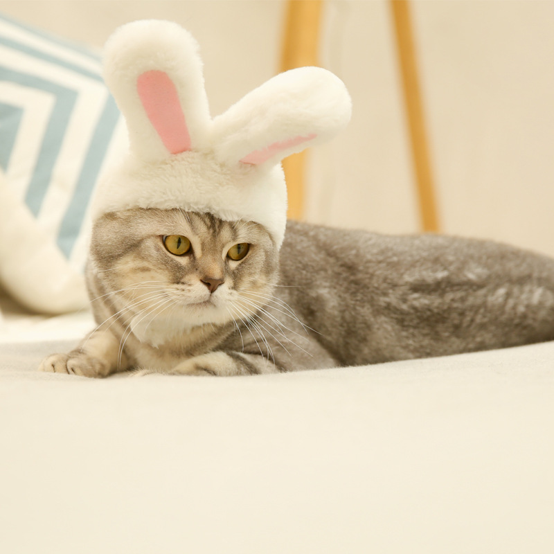 White rabbit ears hat dog cat pet headgear cute bunny headwear costume performance photoprops pink warm hood festival cosplay popular simple 5 23hy