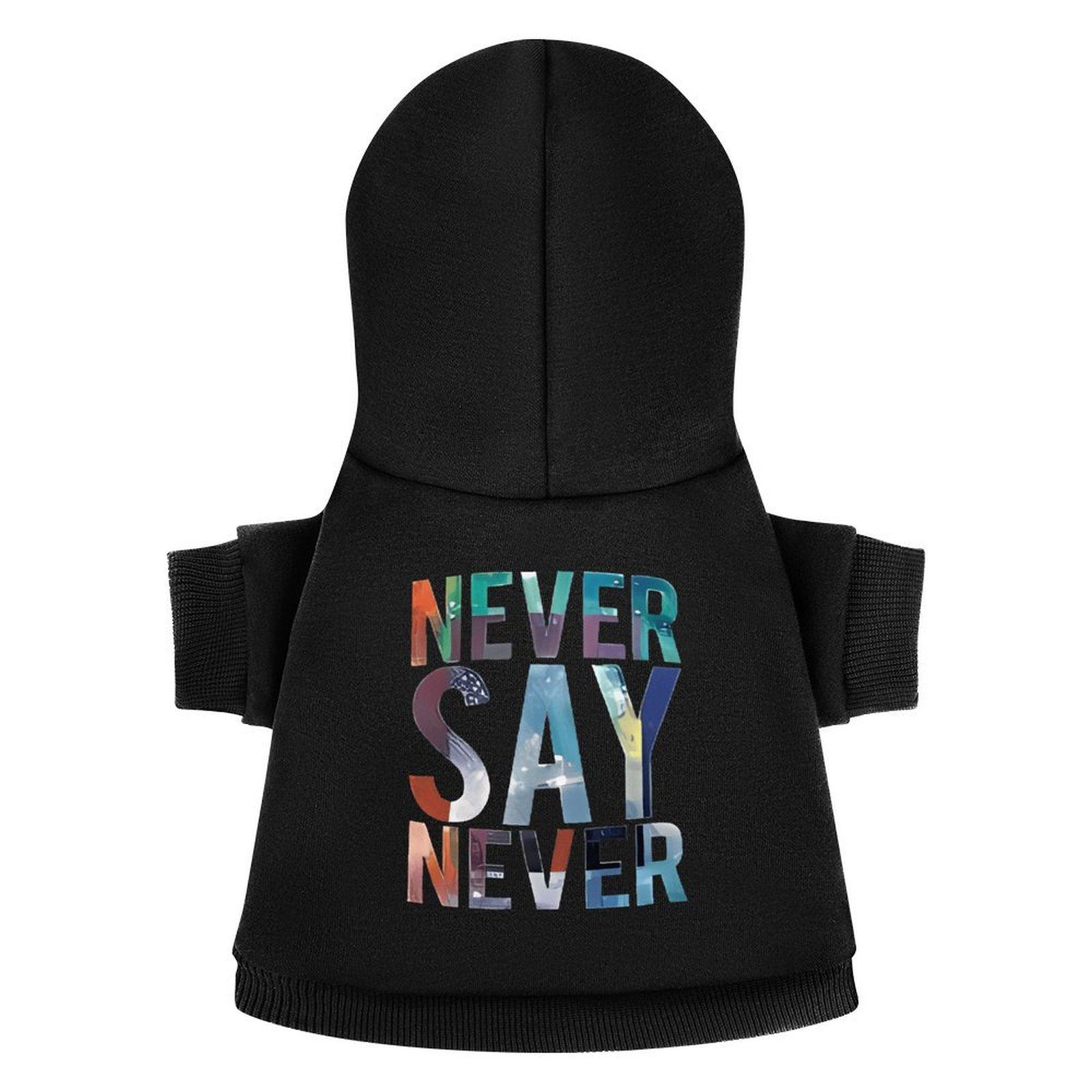 2024 Designer Dog Hoodie Breathable Hooded Neck Athletics Hoodie for Pet Patterns Warm Wholesale Top Pullover Hoodie