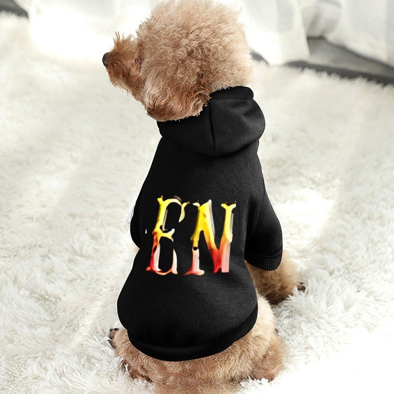 Customized Dog Hooded Sweatshirt Comfortable Hoodie Everyday Outdoor Dog Clothes Hoodie Customized Printed Warm Brand Pet Pullover Hoodie