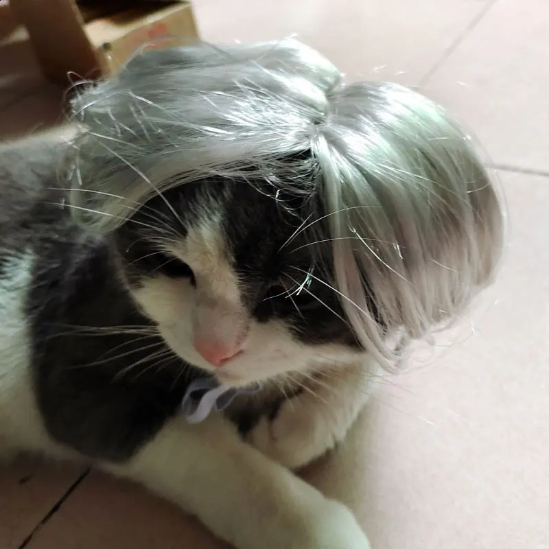 Pet Wigs Cosplay Props Funny Dogs Cats Cross-Dressing Hair Hat Costumes Head Accessories For Halloowen Christmas Pets Supplies 241212