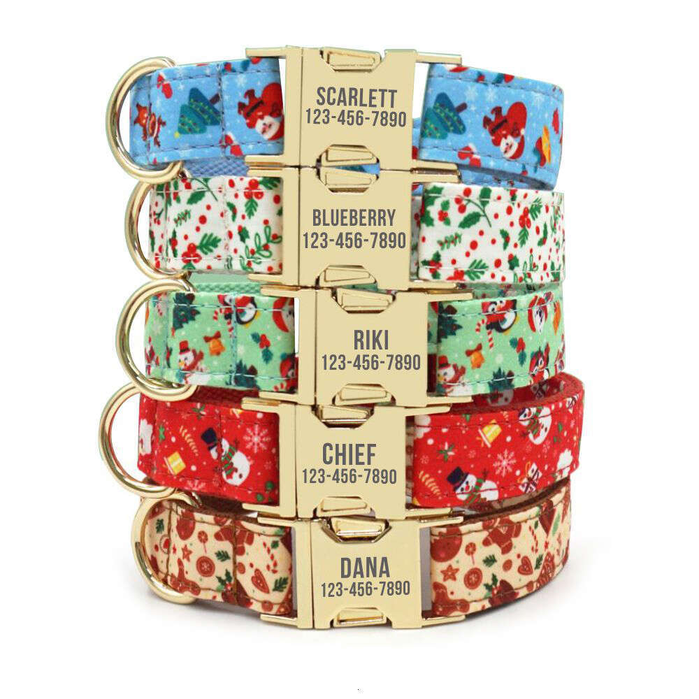 handcrafted personalized canine collar with detachable matching leash includes choice of 6 colors and customization for contact information