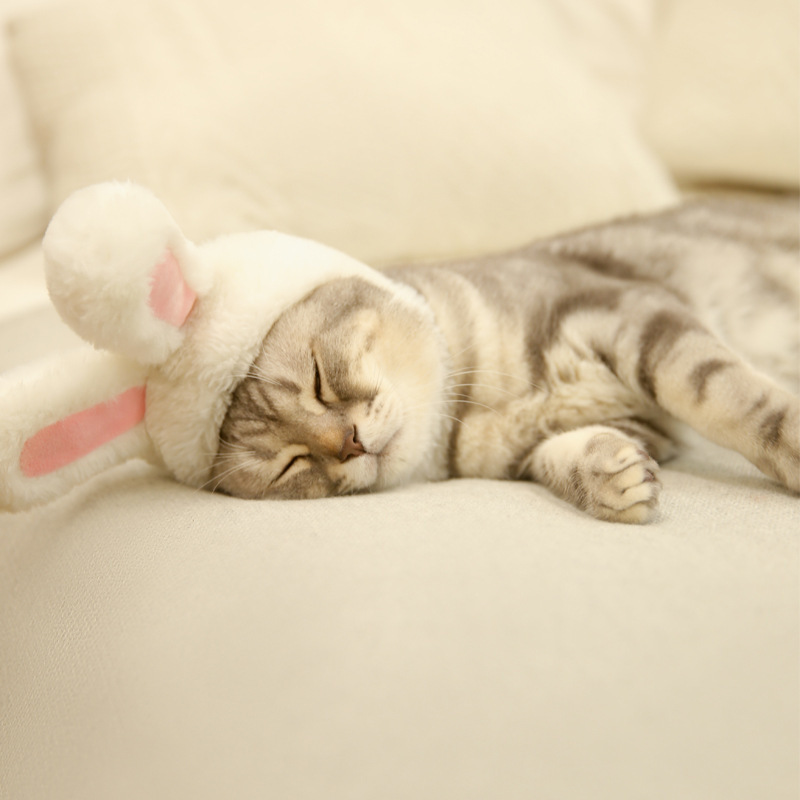 White rabbit ears hat dog cat pet headgear cute bunny headwear costume performance photoprops pink warm hood festival cosplay popular simple 5 23hy