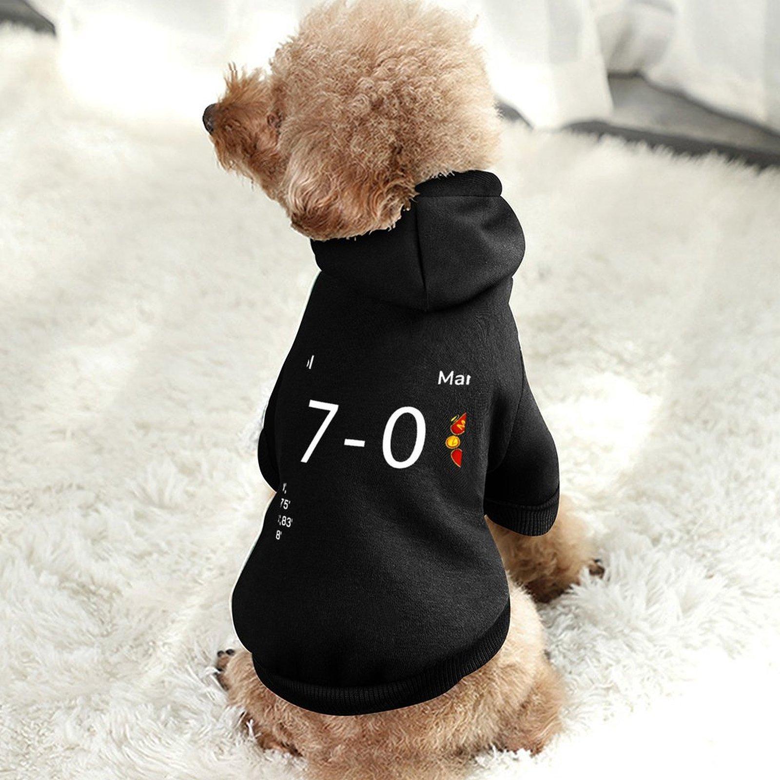 Fashion Designer Hoodie Breathable Hoodie Streetwear Cat Hoodie DIY Oversized Logo Micro Elastic Fabrics Cool Hoody