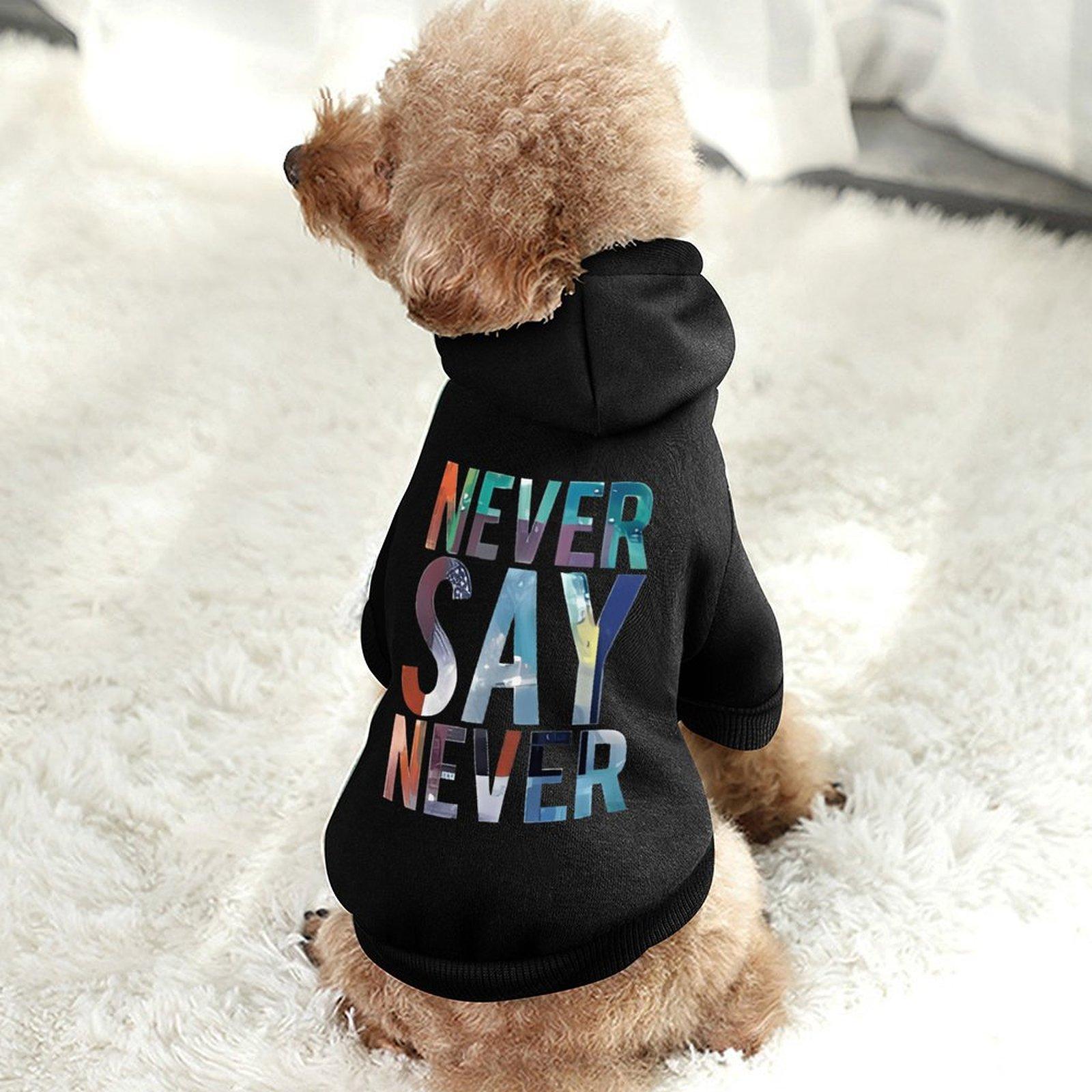 2024 Designer Dog Hoodie Breathable Hooded Neck Athletics Hoodie for Pet Patterns Warm Wholesale Top Pullover Hoodie