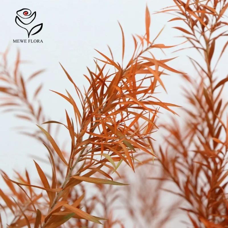 Preserved Melaleuca Bracteata: Natural Dried wer Bouquets for Home Decor dh3628137