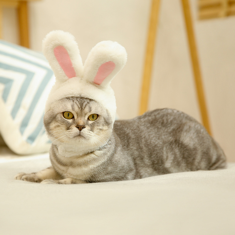 White rabbit ears hat dog cat pet headgear cute bunny headwear costume performance photoprops pink warm hood festival cosplay popular simple 5 23hy
