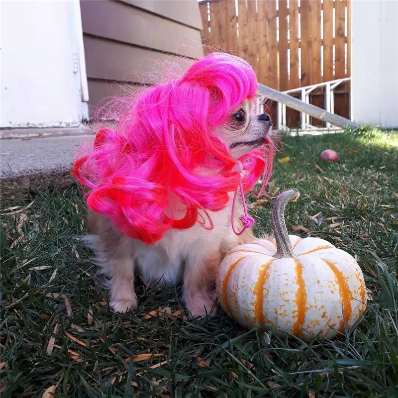 Funny pet wig headwear cross dressing dog curly hair cospla props supplies christmas orange gold head accessories Festival dress up cute 11 4lt