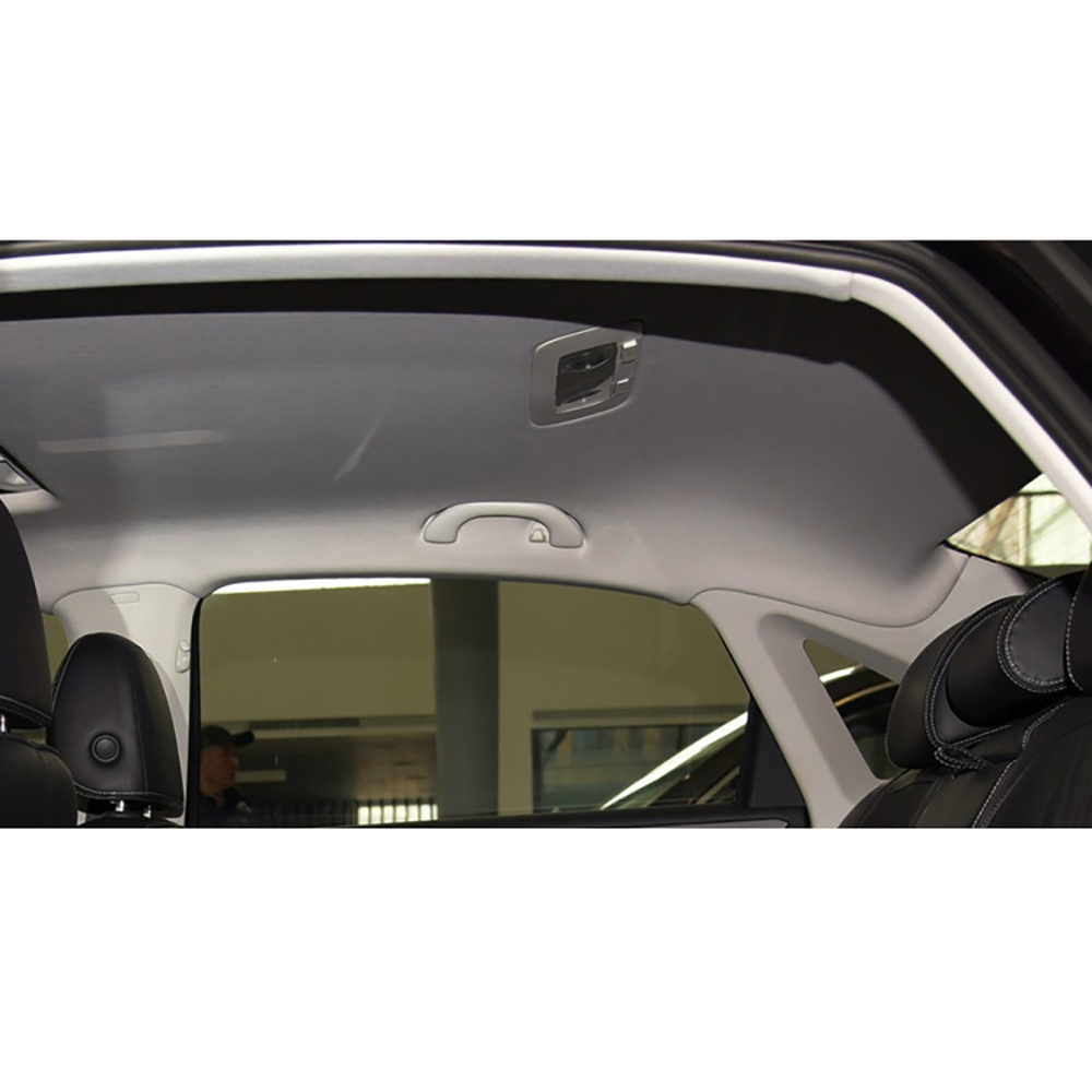 For VW Passat CC overhead light Rear reading light assembly rear overhead light ceiling light