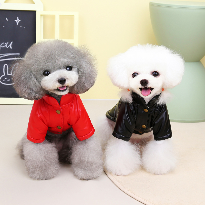 Popular Dog Apparel Blank Coat Winter Two Leg Clothes Waterproof Dog Down Jacket in Good Quality