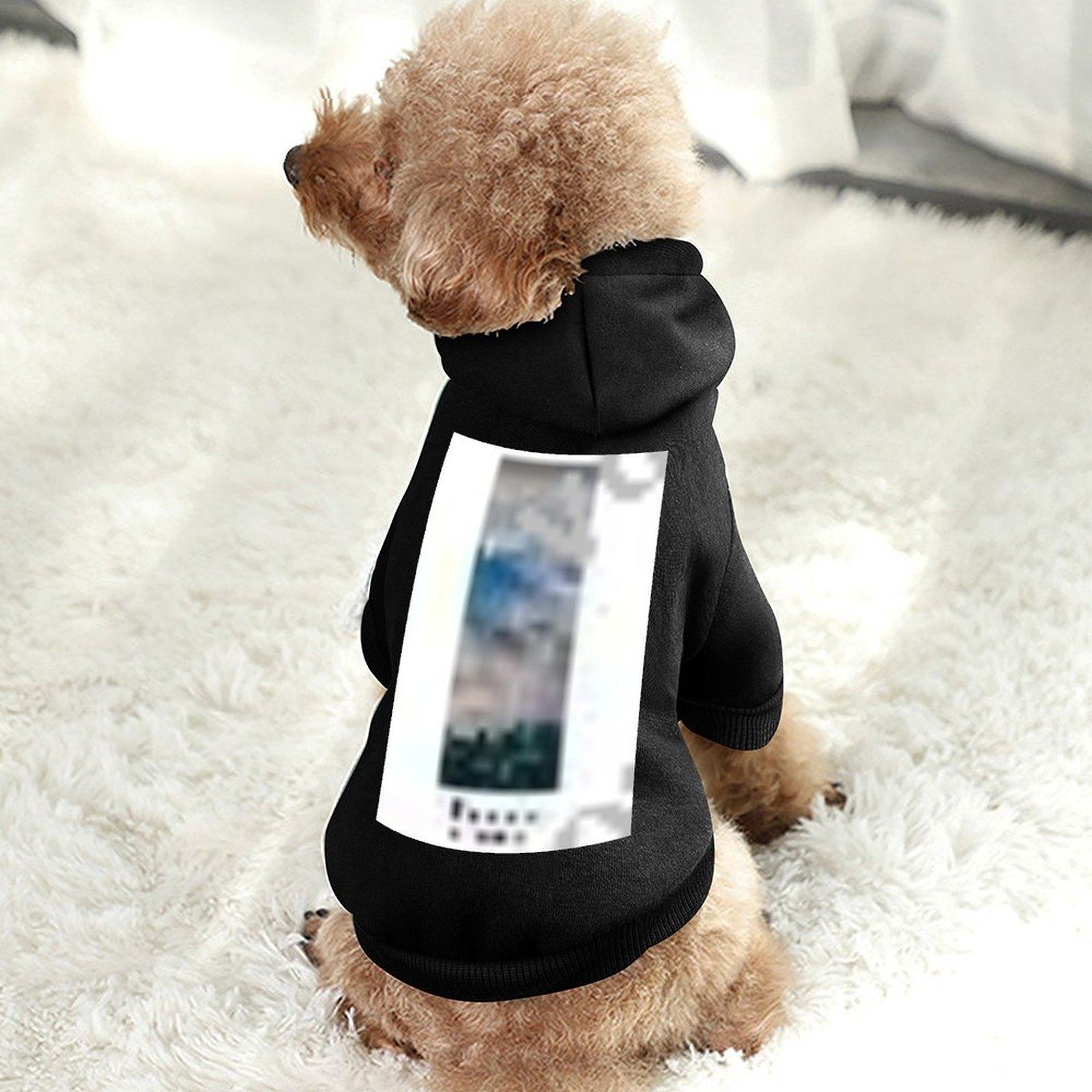 Designer Fashion Cat Hoodie Soft Hoodie Home Hoodie for Pet Customized Printing Anti-linting Wholesale Pullover Hoodie