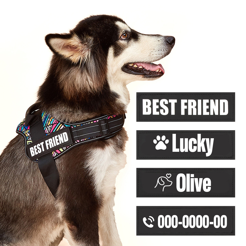 Custom Name Text Patch Stripes Badge for Dog Collar Personalized Dog Collar Tags Backpack Jacket Badge Harness Labels