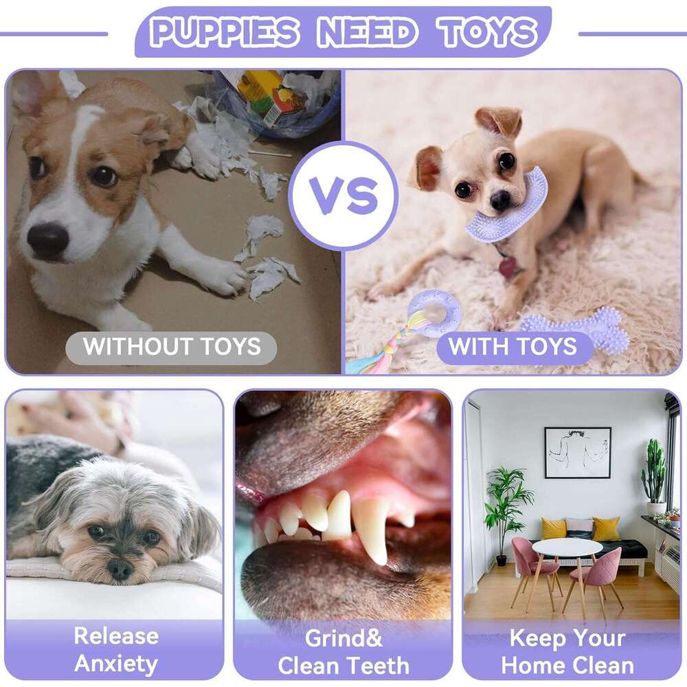 Petcare 6 Pack Cute Purple Chew Toys for Puppies 0-6 Months, Soft Rubber Rope Dog Teething Best Small Toys, Puppy Essentials Supplies